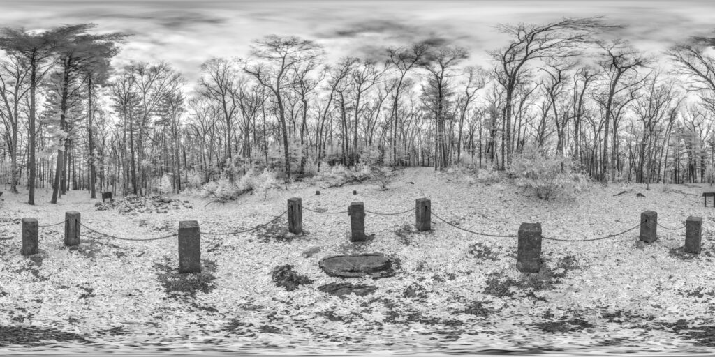 Thoreau's Cabin Site Walden Pond Infrared Small scaled